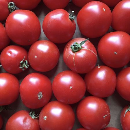 Jet Star, Tomato Seeds - Packet image number null
